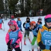 Sekcja narciarska sportowa, sekcja narciarska rekreacyjna