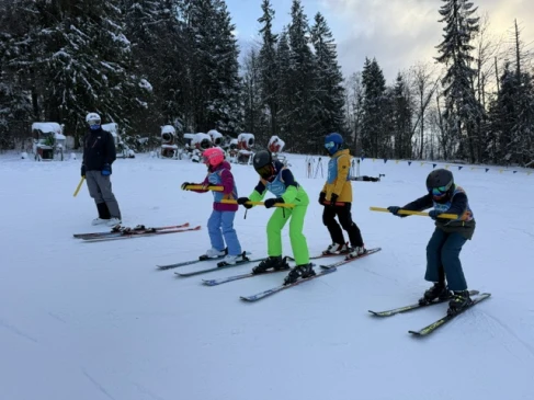 Sekcja narciarska sportowa, sekcja narciarska rekreacyjna
